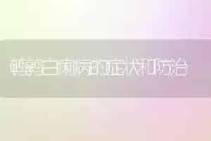 鹌鹑白痢病的症状和防治