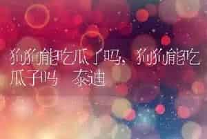狗狗能吃瓜子吗