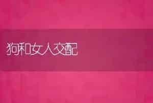 狗和女人交配