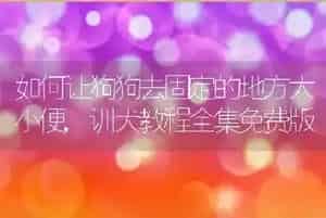如何让狗狗去固定的地方大小便