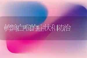 鹌鹑白喉的症状和防治