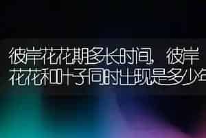 彼岸花花期多长时间