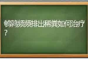 鹌鹑频频排出稀粪如何治疗?