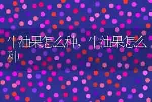 牛油果怎么种