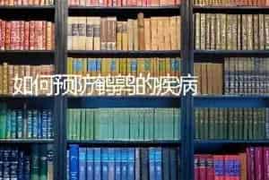 如何预防鹌鹑的疾病