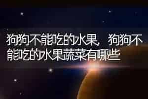 狗狗不能吃的水果