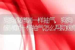狗狗像哮喘一样抽气