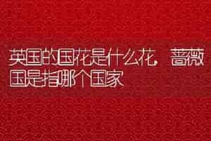 英国的国花是什么花