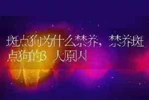 斑点狗为什么禁养
