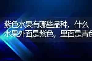 紫色水果有哪些品种