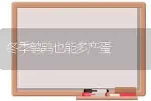 冬季鹌鹑也能多产蛋