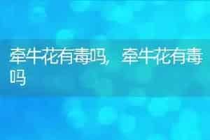 牵牛花有毒吗