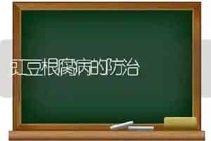 豇豆根腐病的防治