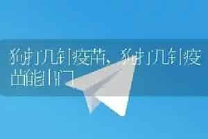 狗打几针疫苗