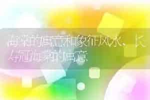海棠的寓意和象征风水