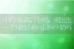 小狗可以喝牛奶吗