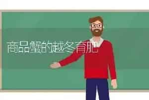 商品蟹的越冬育肥