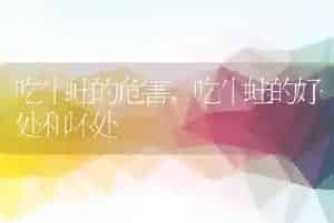 吃牛蛙的危害