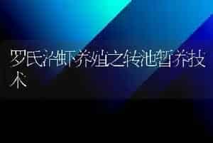 罗氏沼虾养殖之转池暂养技术