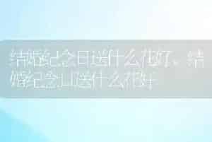 牛蜱虫用什么药才能治得了它