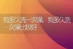 狗多久洗一次澡
