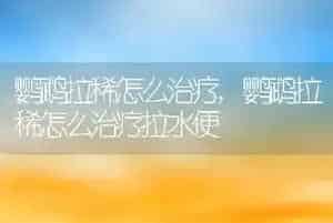 鹦鹉拉稀怎么治疗