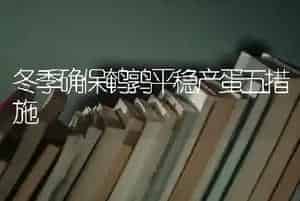 冬季确保鹌鹑平稳产蛋五措施
