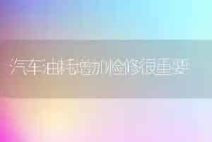汽车油耗增加检修很重要