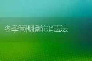 冬季管棚播前消毒法