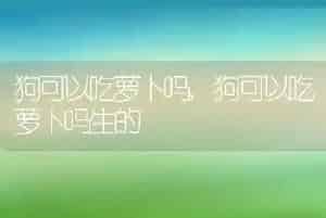 狗可以吃萝卜吗