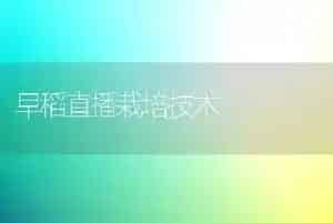 早稻直播栽培技术