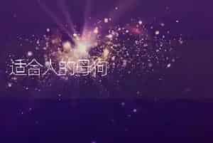 适合人的母狗