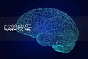 鹌鹑皮蛋