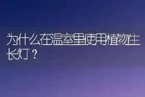 为什么在温室里使用植物生长灯?