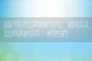 狗狗能吃花生吗