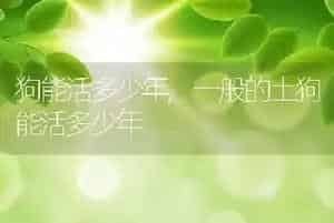 狗能活多少年