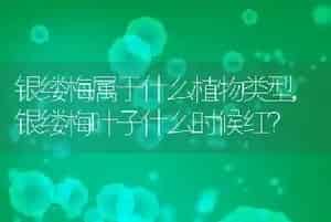 狗狗犬瘟症状