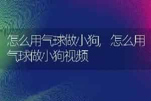 怎么用气球做小狗