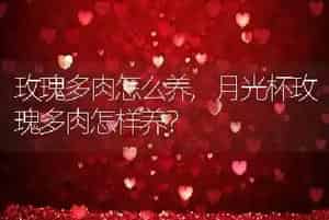 怎么能看出自己处破了