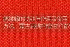 鹅绒藤的功效与作用及食用方法