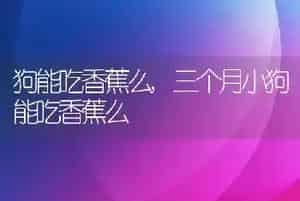 狗能吃香蕉么