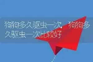 狗狗多久驱虫一次