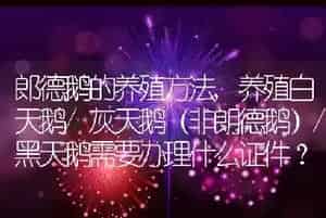 郎德鹅的养殖方法