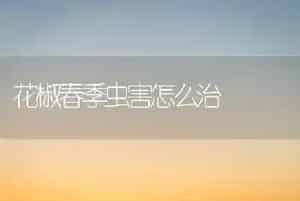 花椒春季虫害怎么治