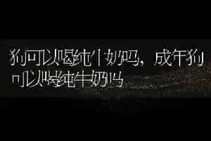 狗可以喝纯牛奶吗