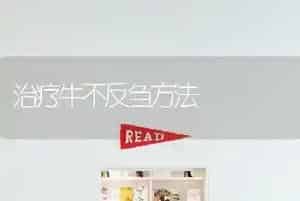 治疗牛不反刍方法