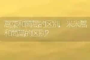 狗打喷嚏怎么回事