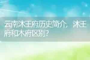 老打喷嚏是什么原因