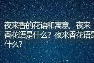 甲沟炎如何治疗