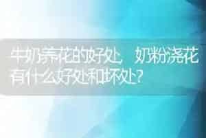 牛奶养花的好处